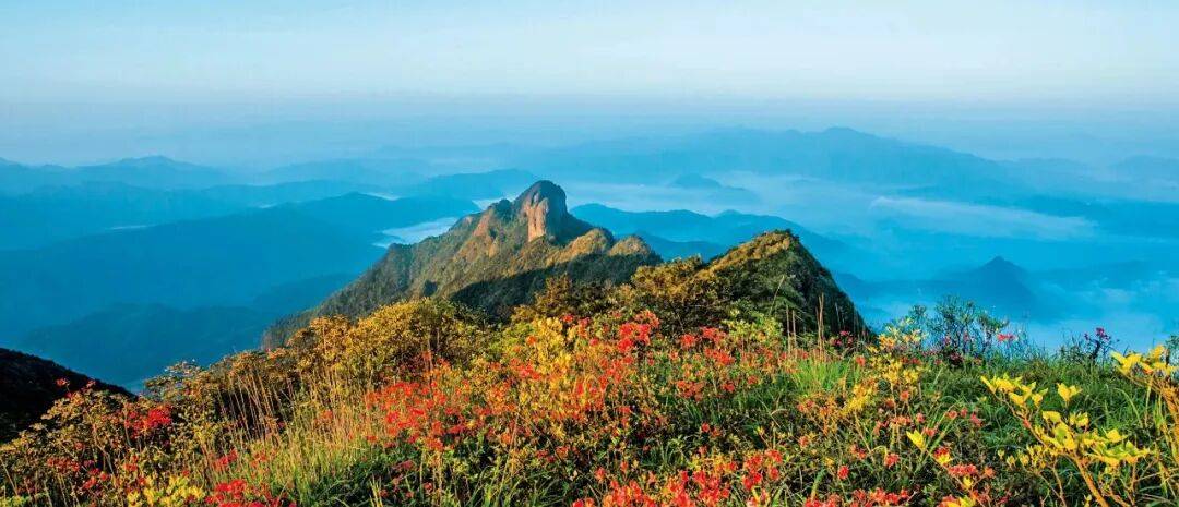 为什么年轻人迷上了爬山? | 秋高气爽<strong></p>
<p>深圳理财</strong>,是时候出发了→