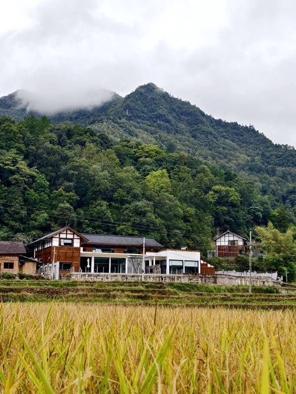 推窗见梯田<strong></p>
<p>深圳理财</strong>！梧桐山民宿：把日子过成诗