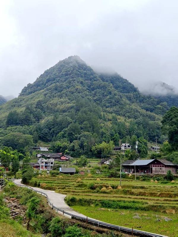 推窗见梯田<strong></p>
<p>深圳理财</strong>！梧桐山民宿：把日子过成诗