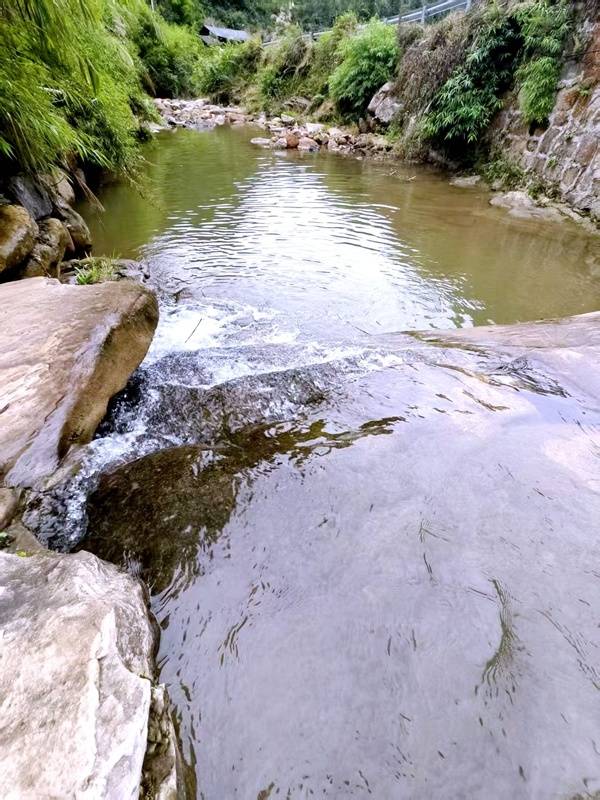 推窗见梯田<strong></p>
<p>深圳理财</strong>！梧桐山民宿：把日子过成诗