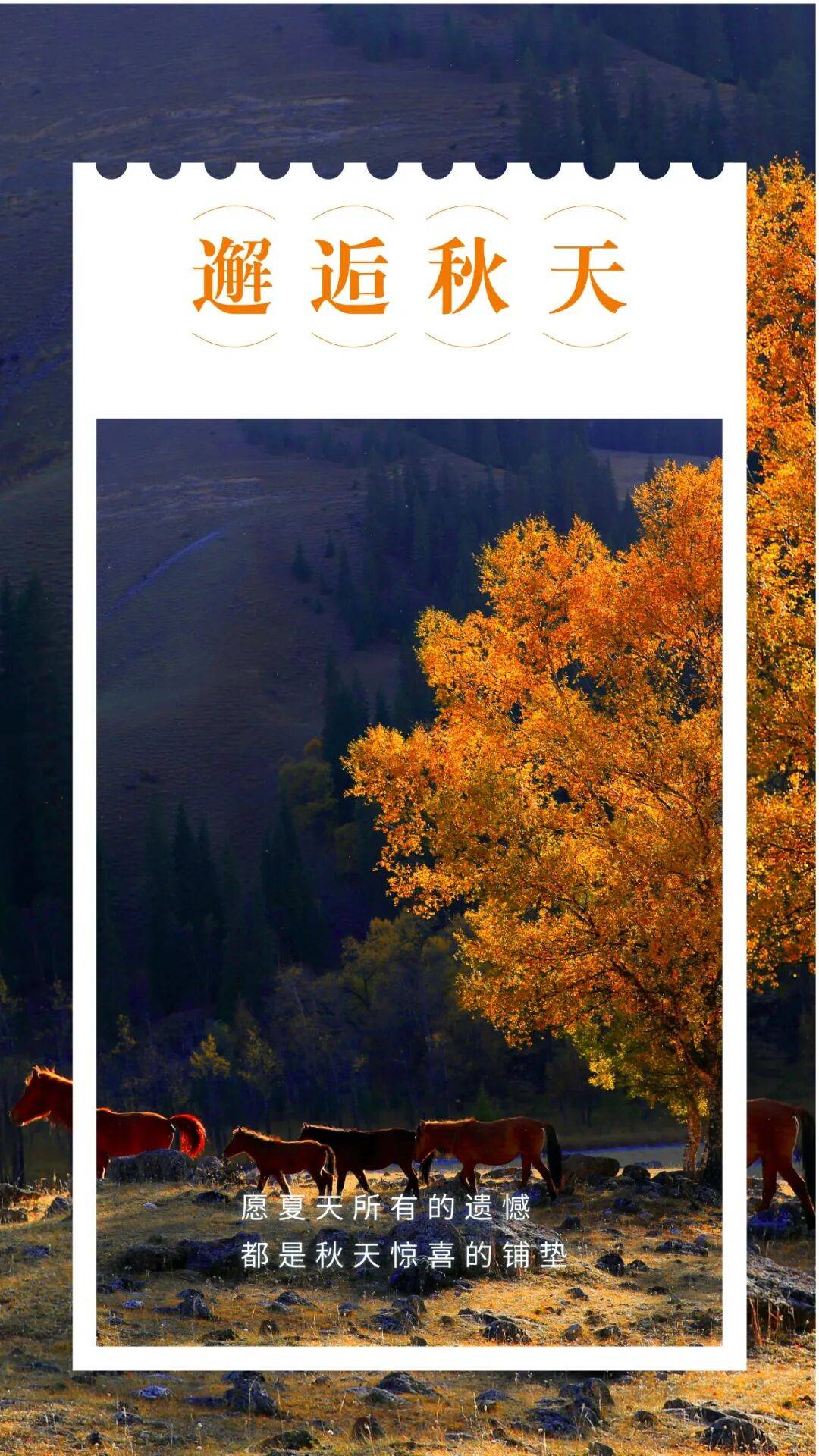 邂逅博州的秋天<strong></p>
<p>钱包理财</strong>,从从容容游刃有余