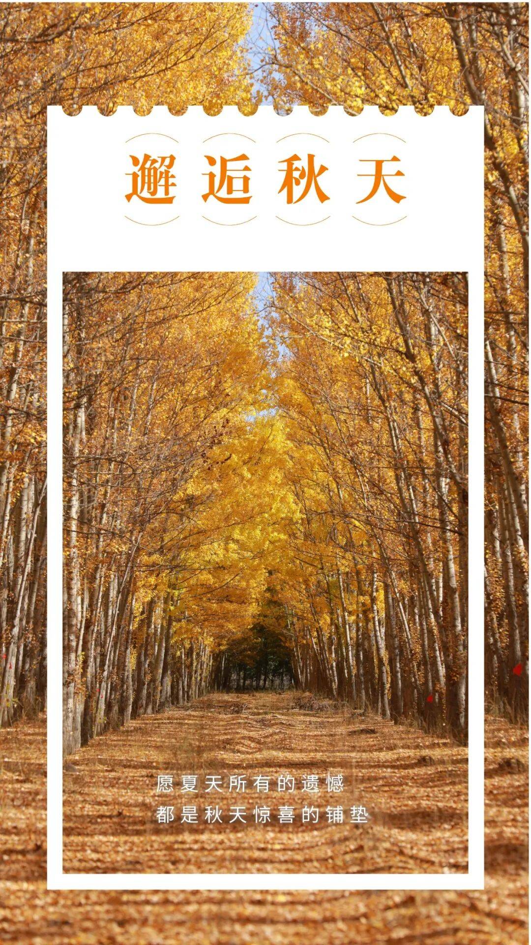 邂逅博州的秋天<strong></p>
<p>钱包理财</strong>,从从容容游刃有余