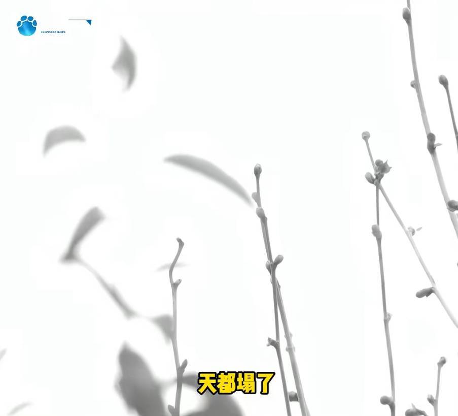 “天塌了<strong></p>
<p>理财红包</strong>,我一生都毁了”,男子称养了20年才发现儿子非亲生!前妻坚决否认