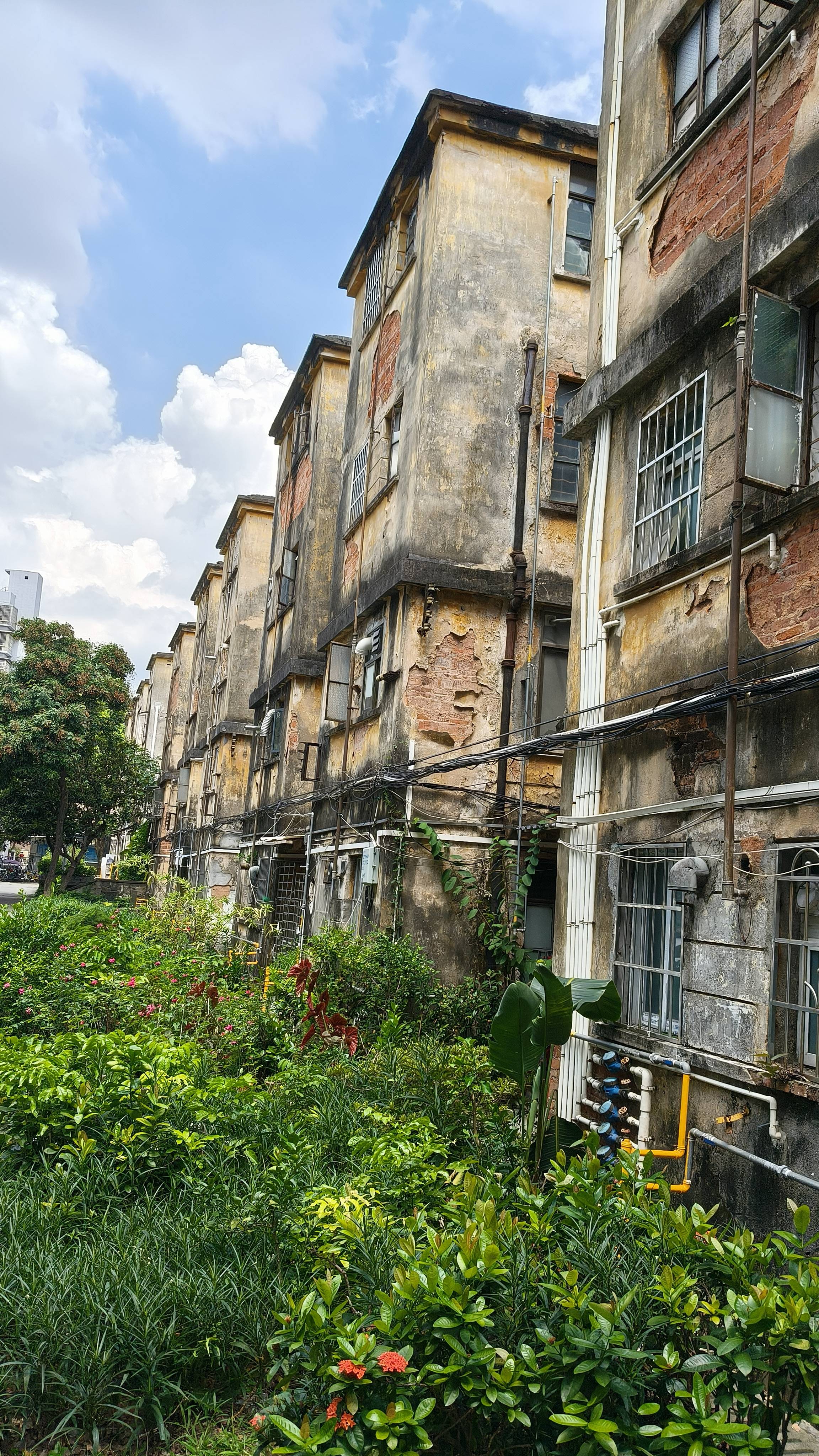 广州重典整治爆改乱建<strong></p>
<p>理财红包</strong>,让好房子更安全|南方产业观