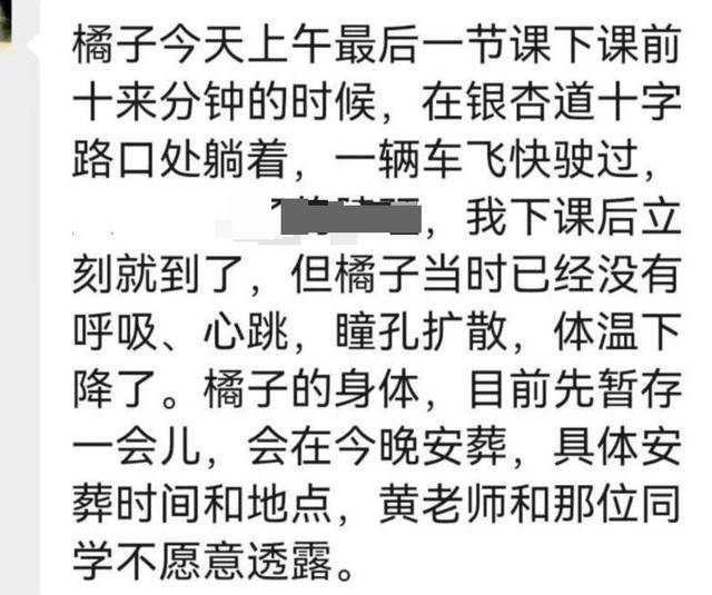 《红舞鞋》剧组在高校拍摄时撞死流浪猫<strong></p>
<p>理财红包</strong>,剧组凌晨致歉:涉事司机引咎辞职,将以小猫名字成立基金