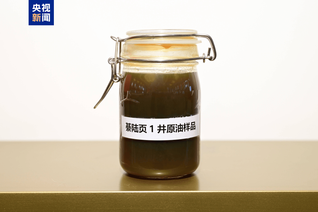 我国发现亿吨级页岩油资源<strong></p>
<p>银行理财基金</strong>!