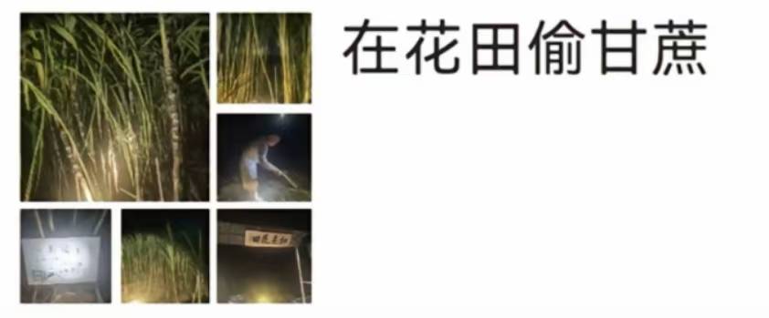 浙江一“可偷甘蔗地”成打卡点<strong></p>
<p>银行理财基金</strong>，上百网友深夜体验，80后“地主”：已收偷款6千元