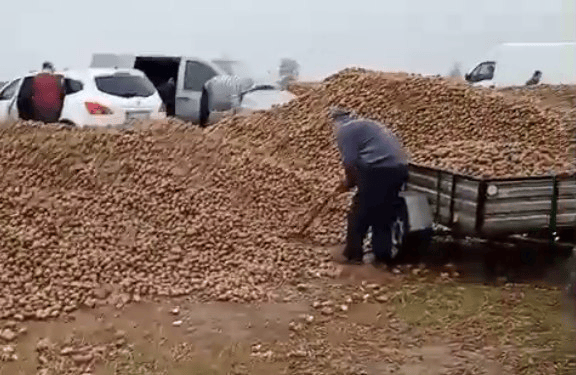 波兰68岁农民收获的150吨土豆被一夜搬空<strong></p>
<p>红包理财</strong>, 只因帖子遭篡改