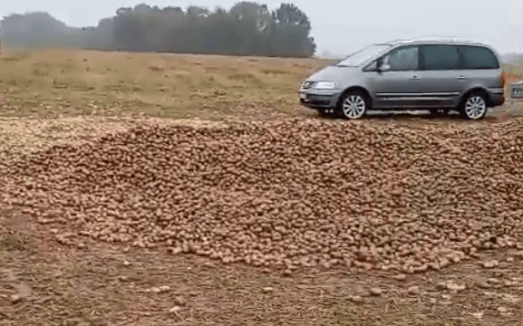 波兰68岁农民收获的150吨土豆被一夜搬空<strong></p>
<p>红包理财</strong>, 只因帖子遭篡改