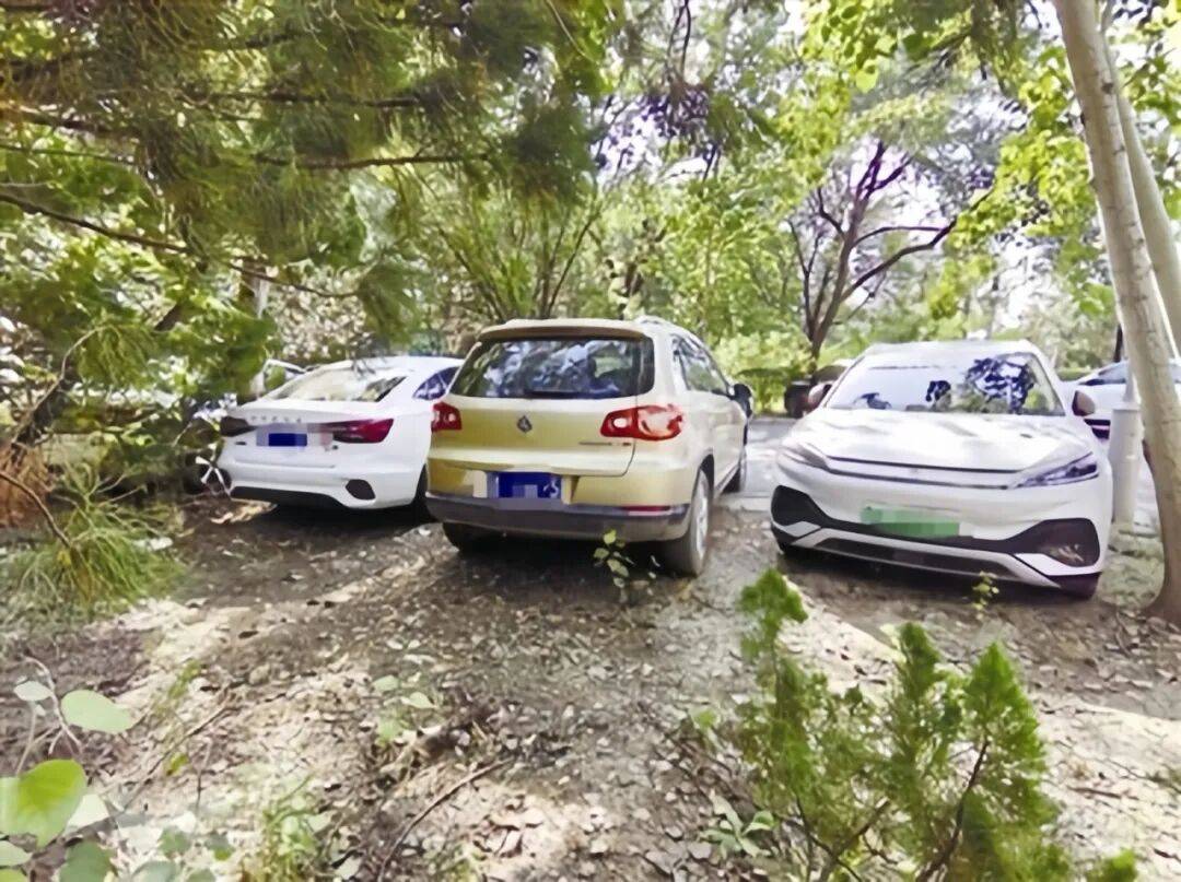 天津媒体评论:街边绿地成“停车场”<strong></p>
<p>南京理财</strong>?根治靠合力