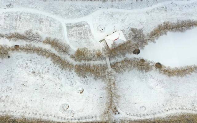 百年难遇“早立冬”来了<strong></p>
<p>个人银行理财</strong>!有啥讲究?早看早准备!