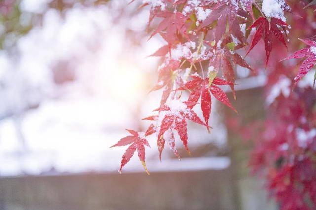 百年难遇“早立冬”来了<strong></p>
<p>个人银行理财</strong>!有啥讲究?早看早准备!