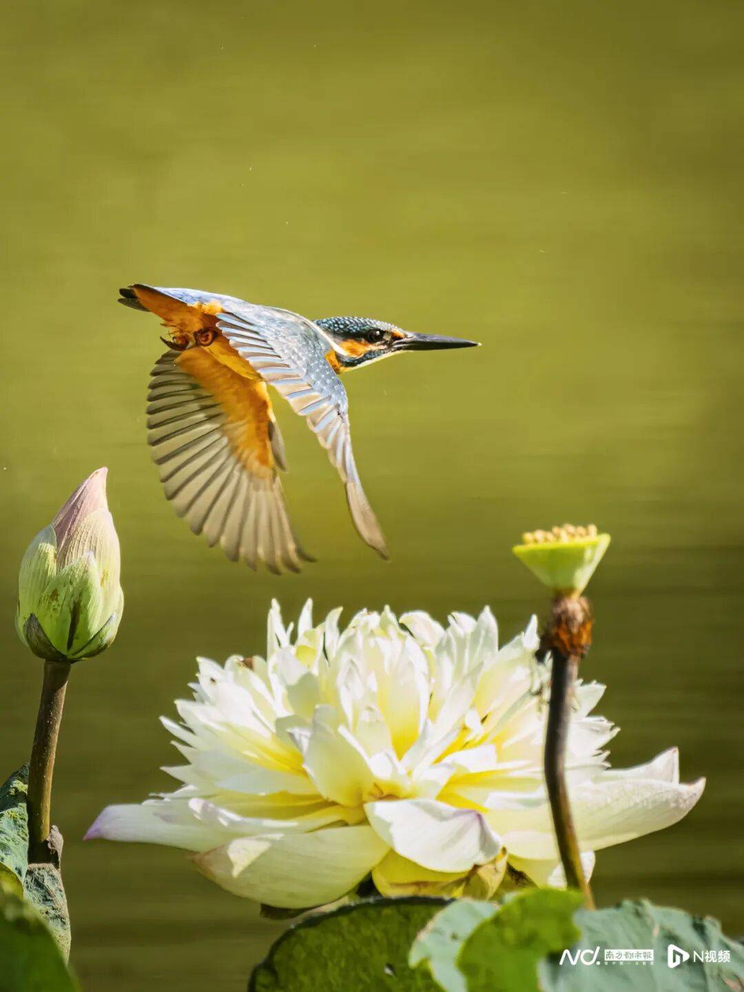 东莞最新发布:将严厉打击这些行为<strong></p>
<p>个人银行理财</strong>!