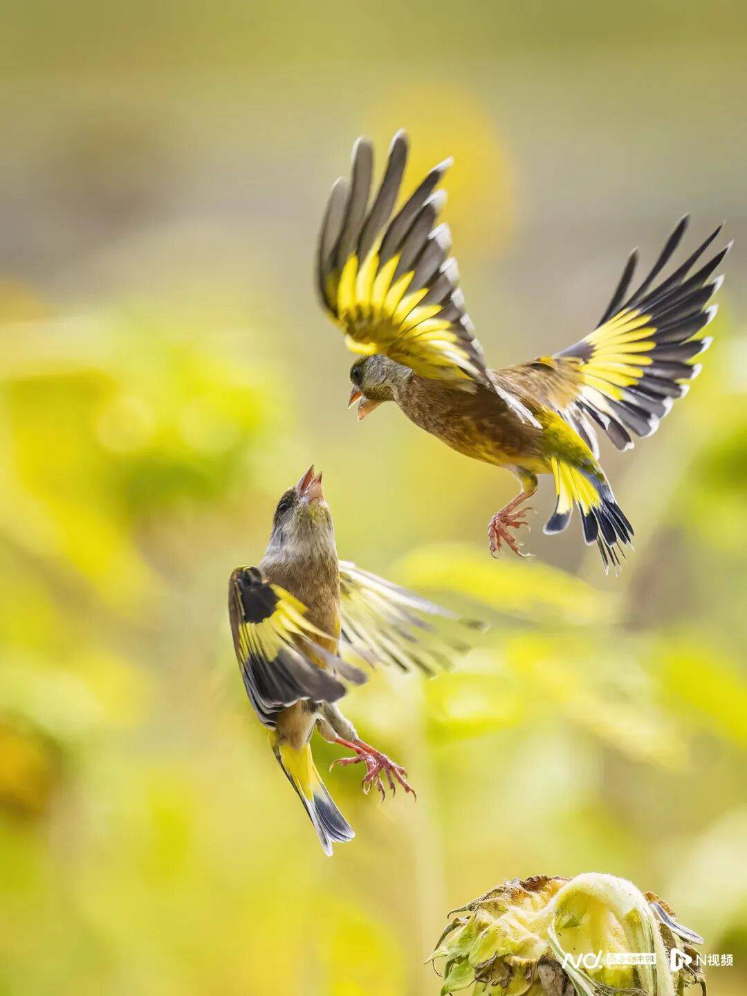 东莞最新发布:将严厉打击这些行为<strong></p>
<p>个人银行理财</strong>!