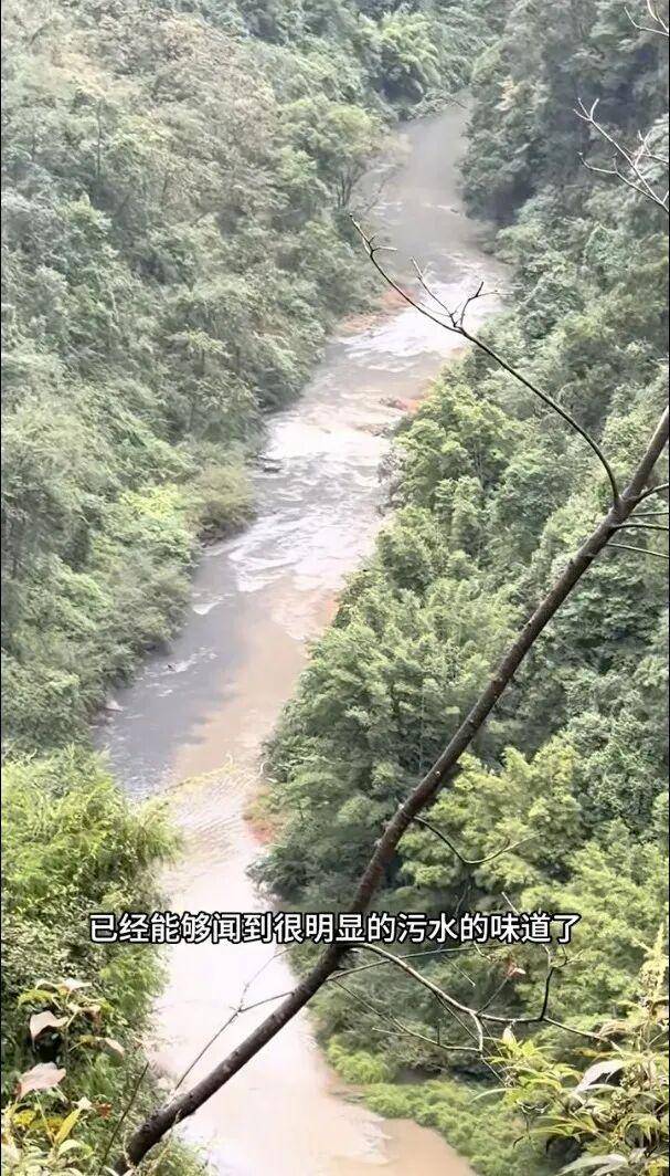 重庆通报:坚决查处<strong></p>
<p>老人理财</strong>,绝不姑息