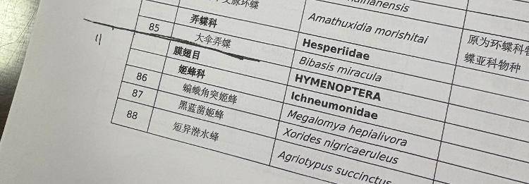 央视曝光“杀人蜂”滥养牟利引关注 四川犍为:正联合调查虎头蜂养殖情况