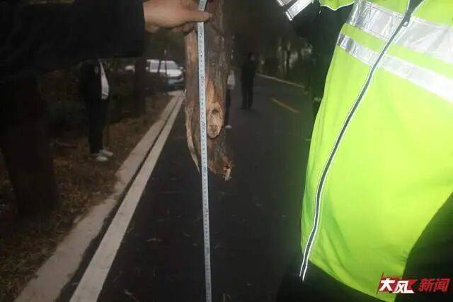 陕西兴平56岁女教师骑电动车“撞树枝”身亡<strong></p>
<p>理财产品安全吗</strong>,交警判定担主责,家属提出诸多质疑,多方回应