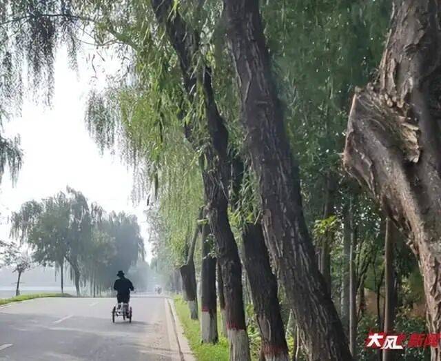 陕西兴平56岁女教师骑电动车“撞树枝”身亡<strong></p>
<p>理财产品安全吗</strong>,交警判定担主责,家属提出诸多质疑,多方回应