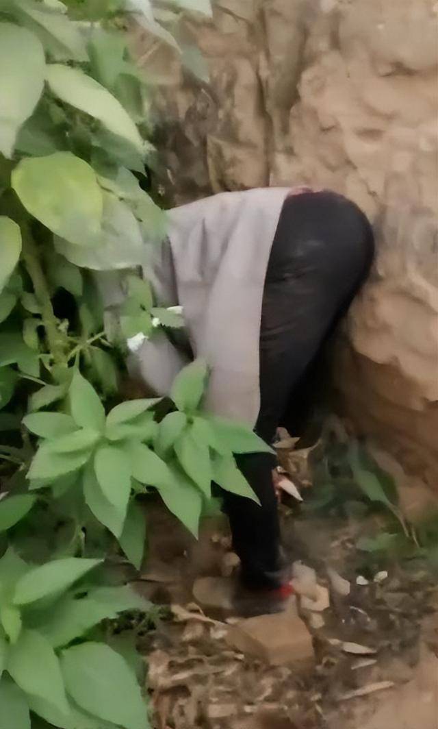 陕西一女子疑因拍亲姑姑偷玉米遭姑父棍杀<strong></p>
<p>50万理财</strong>,邻居欲报警也遇害