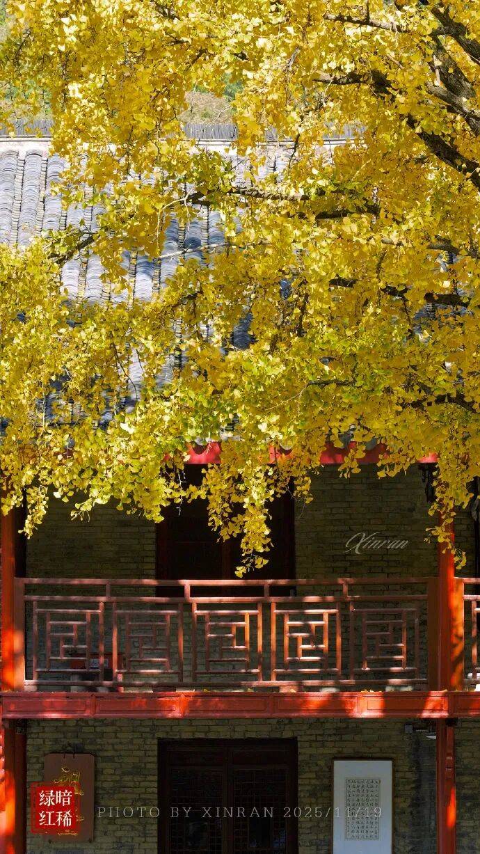 未来三天全省晴,气温缓慢回升<strong></p>
<p>50万理财</strong>。明晨淮河以南部分地区有雾或浓雾