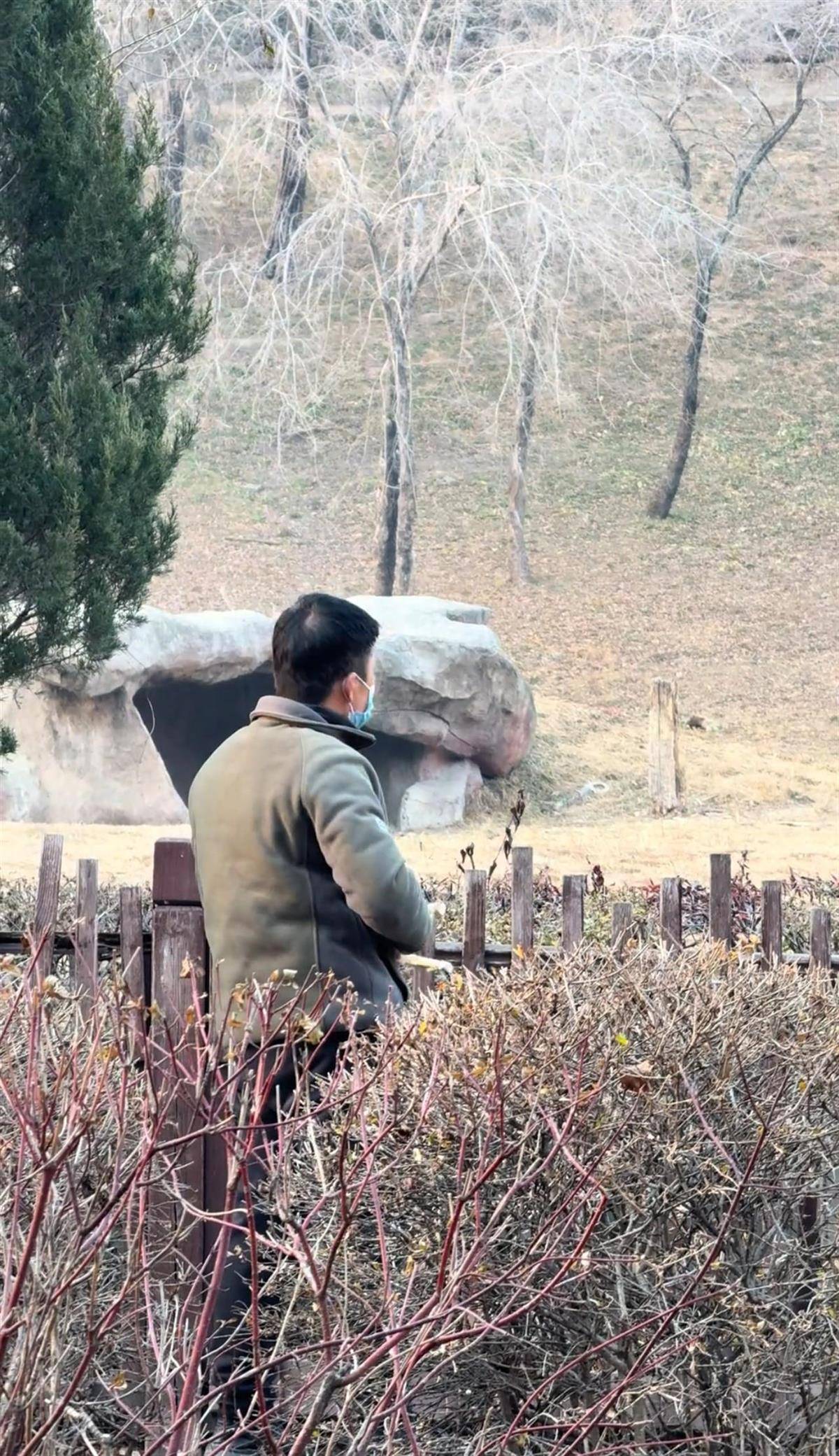 沈阳一男子动物园内用弹弓射老虎<strong></p>
<p>理财消费</strong>,目击者称其“填装了弹丸”,打完后老虎爬起来了,园方:正在核实情况