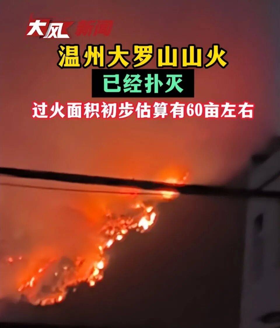 温州大罗山发生火情<strong></p>
<p>零钱通理财</strong>,“火势很大,一直持续到晚上”, 应急管理局:无人员伤亡,原因正在调查中