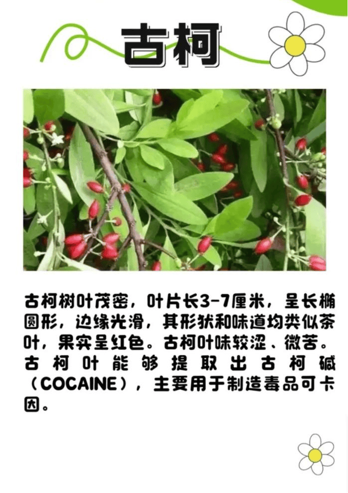 悬赏1500万美金!前奥运选手涉多起案件<strong></p>
<p>零钱通理财</strong>,被列入十大通缉犯