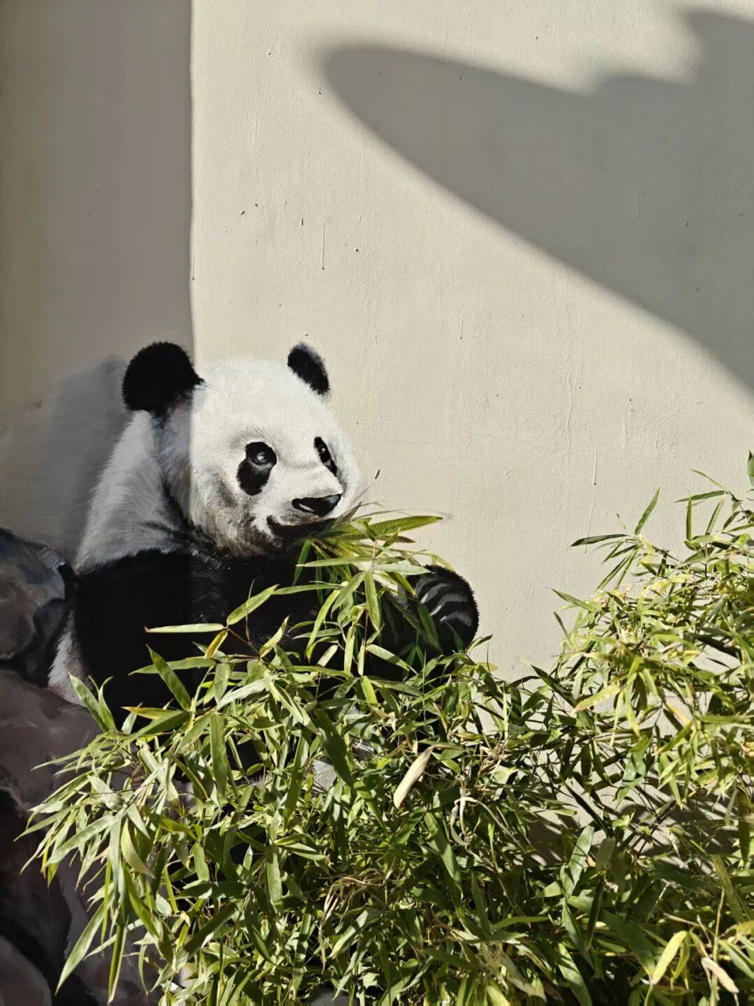 “颜值”出圈 天津和平区独山路这面彩绘墙“亮”<strong></p>
<p>零钱通理财</strong>了