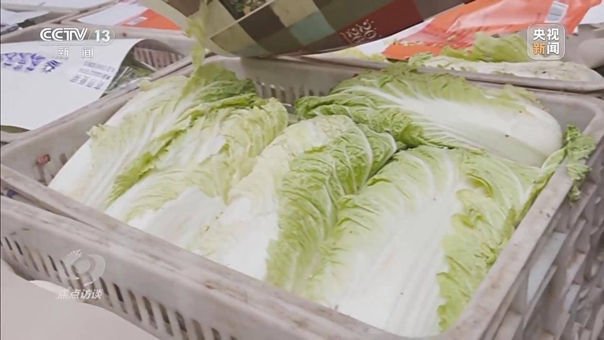 单棵售价超百元<strong></p>
<p>2017理财</strong>，起底“套牌白菜”背后的销售套路