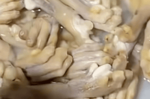 湖南一烧烤店直播煮动物爪子引争议<strong></p>
<p>理财产品利率</strong>，涉事商家回应