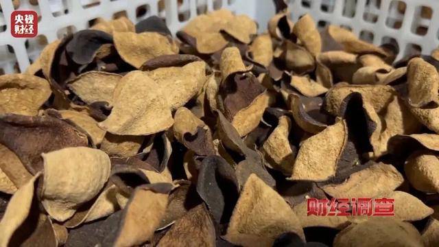 30天速成陈皮<strong></p>
<p>贷贷网理财</strong>,成本仅70元,利润超成本10倍以上!央视起底陈皮跨省造假产业链