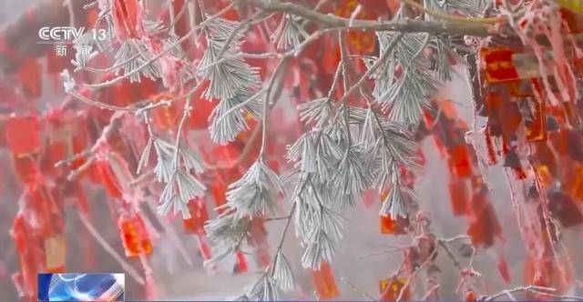 我国已经进入拉尼娜状态<strong></p>
<p>贷贷网理财</strong>,专家:可能出现冬春连旱