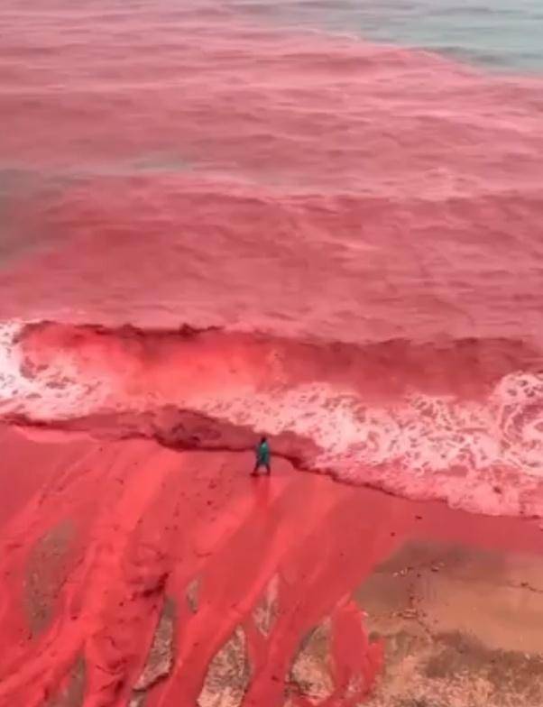 罕见!伊朗霍尔木兹岛遭遇强降雨<strong></p>
<p>理财证书</strong>,部分海域变成“血色海洋”