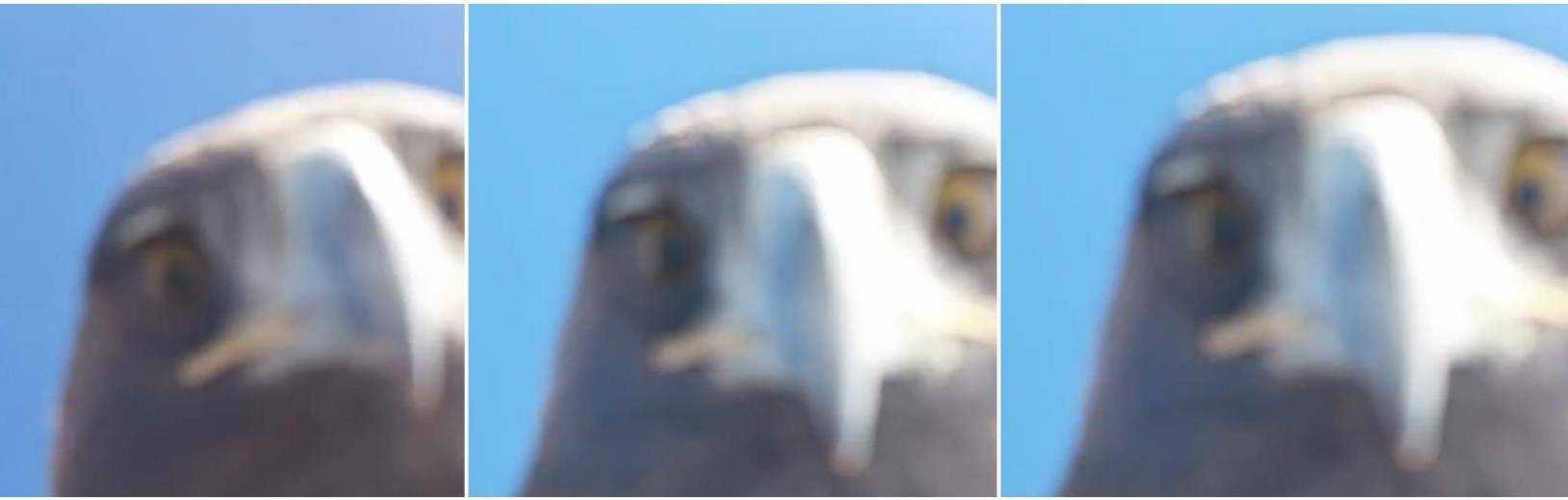 土耳其老鹰空中抓走无人机<strong></p>
<p>学会理财</strong>，带上山顶“玩自拍”