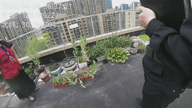 杭州一小区发现35株罂粟！保安巡逻起疑后报警<strong></p>
<p>金融理财产品</strong>，警方：2位老人在菜盆、花盆混种，隐蔽性极强，分别罚款300元、400元