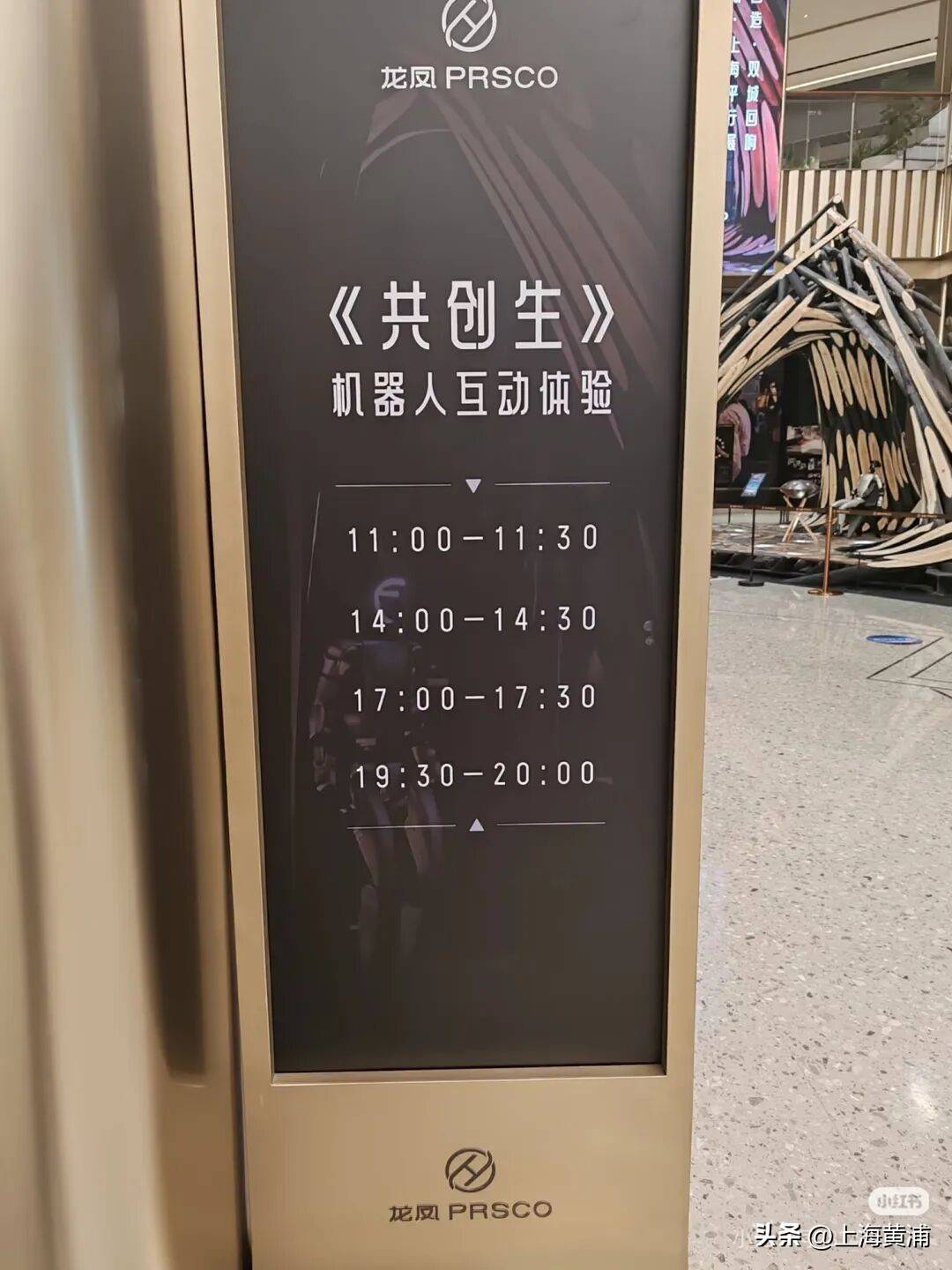 上海最强台风“遗产”<strong></p>
<p>什么理财公司</strong>,没有被粉碎焚烧,而是在淮海路“重活”一次